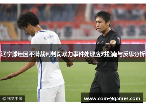 辽宁球迷因不满裁判判罚暴力事件处理应对指南与反思分析 辽宁球迷因不满裁判判罚暴力事件处理应对指南与反思分析