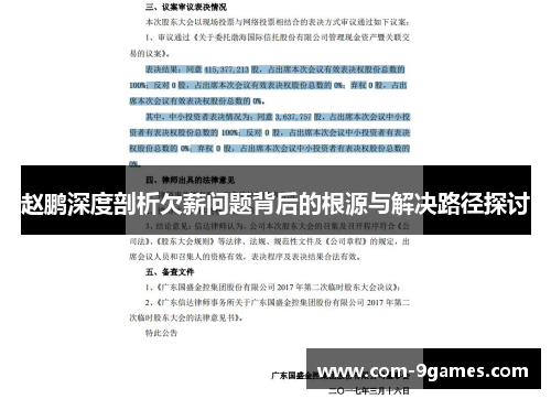 赵鹏深度剖析欠薪问题背后的根源与解决路径探讨