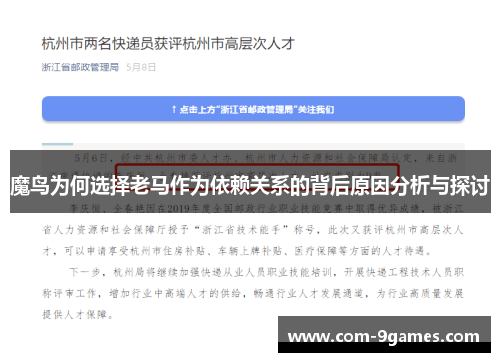 魔鸟为何选择老马作为依赖关系的背后原因分析与探讨